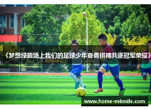 《梦想绿茵场上我们的足球少年奋勇拼搏共逐冠军荣耀》