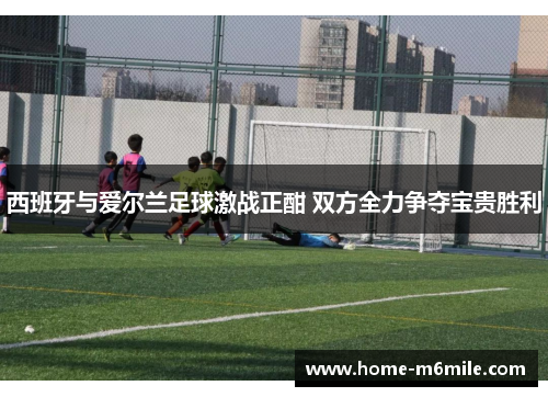 西班牙与爱尔兰足球激战正酣 双方全力争夺宝贵胜利