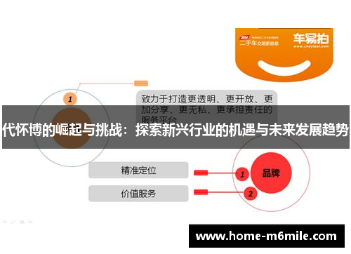 代怀博的崛起与挑战：探索新兴行业的机遇与未来发展趋势